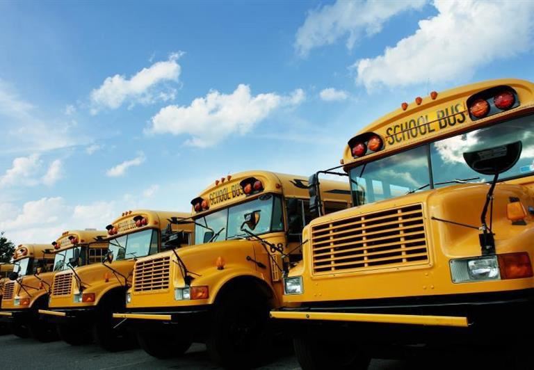  School Buses