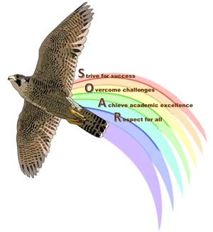 SOAR 
