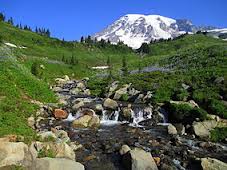 Mt. Rainier Mt. Rainier