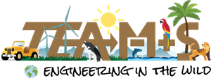 TEAMS logo 