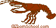 Crayfish 