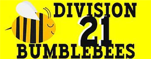 Division 21 