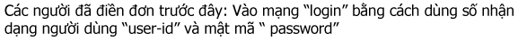 Vietnamese words