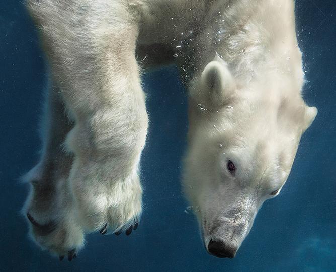 San Diego Zoo
