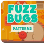 FuzzBug Patterns
