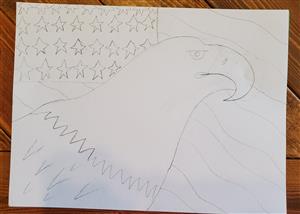 eagle 