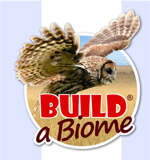 Biome 