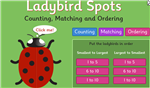 ladybird spots 
