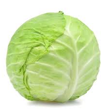 cabbage 