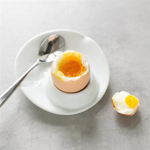 egg 