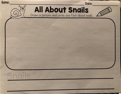 snails 