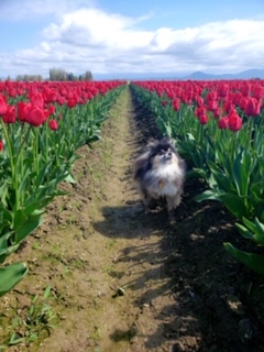 My dog, Slash