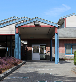 silver firs elementary school