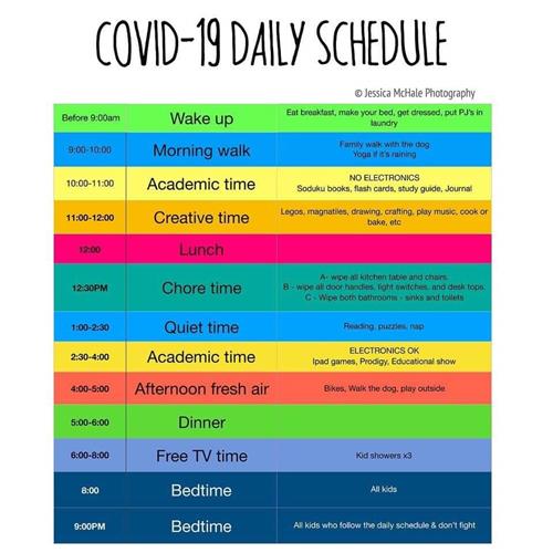 Suggested Schedule 