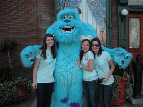 Sulley and us 